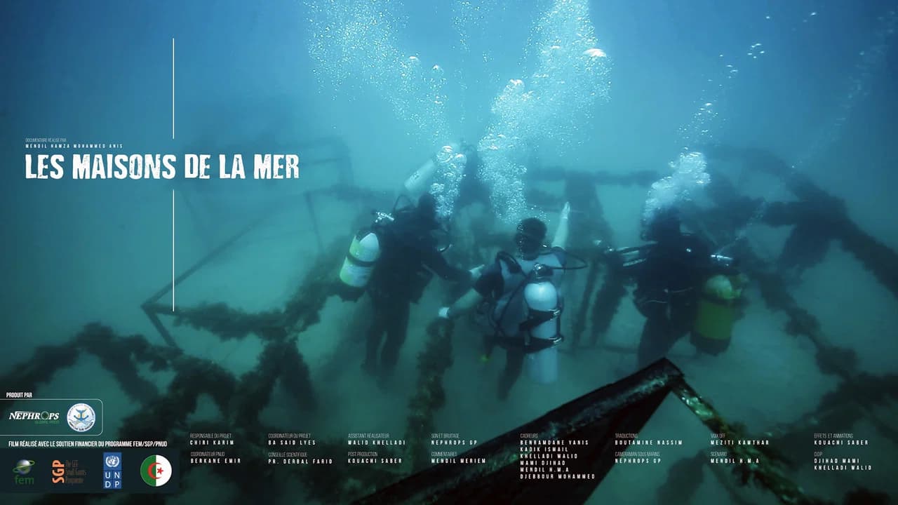 Les Maisons De La Mer